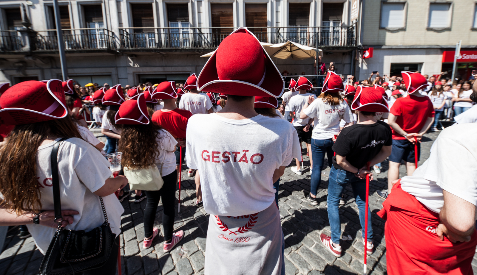 Thumbnail da galeria Cortejo